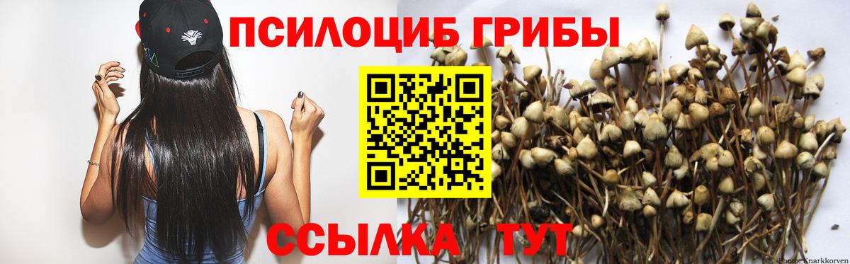 Псилоцибиновые грибы Magic Shrooms  где продают   Вход с VPN  Реж  Псилоцибиновые грибы мухоморы 